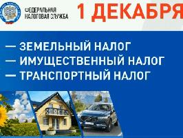 До 1 декабря россияне, которые владеют недвижимостью, обязаны заплатить налог. Причём речь идёт не только о квартирах и домах, но и о гаражах, машиноместах и банях.