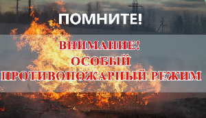 ПОМНИТЕ  с 8:00 часов 3 мая 2024 года до 8:00 часов 17 июня 2024 года установлен особый противопожарный режим. 