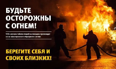Информация по пожарам, произошедшим на территории Иркутской области с начала 2025 года.