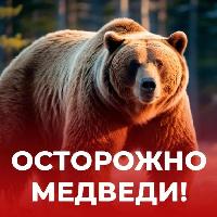 Уважаемые жители и гости Зиминского района!