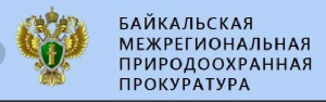 Решения судов по искам Братской межрайонной природоохранной прокуратуры о взыскании компенсации морального вреда в пользу детей, которые пострадали от укусов безнадзорных собак, вступили в законную силу.