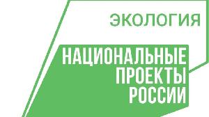 Федеральная кампания "Профилактика лесных пожаров" в рамках национального проекта "Экология"